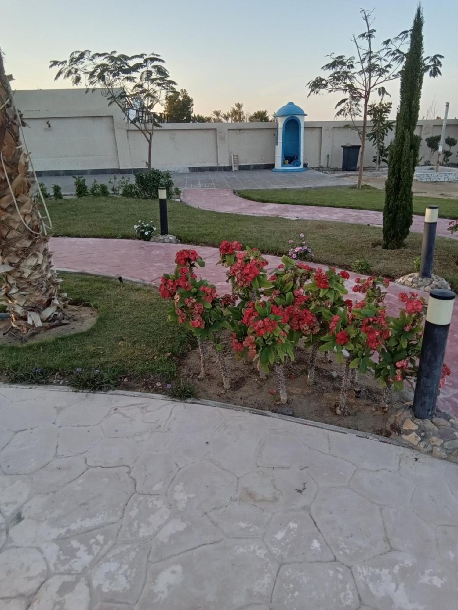 Casablanca Beach For Families And Couples Only Aparthotel Hurghada Exterior photo